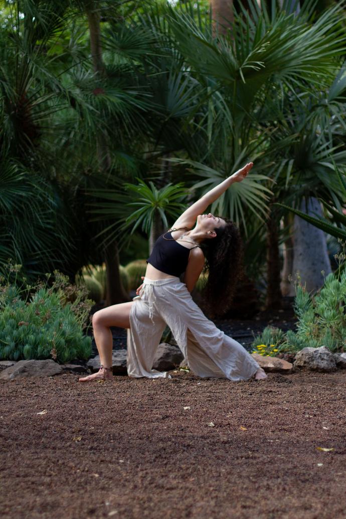 Entrenamientos de Fuerza, Flexibilidad y Movilidad